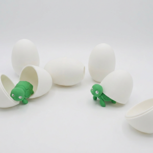 Schildkröten aus dem Ei